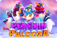 Casollo Penguin Palooza